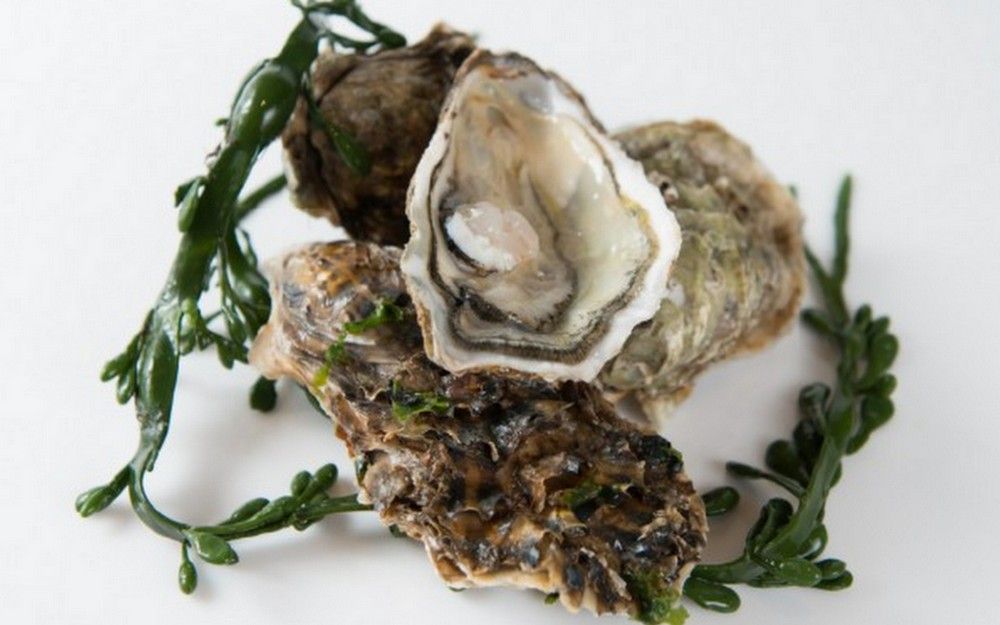 5 best oyster happy hours in Hong Kong Lifestyle Asia