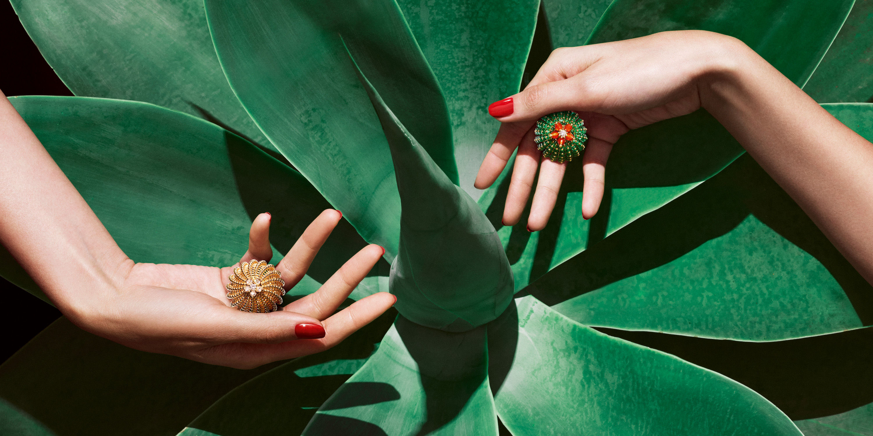 Cool down with the Cactus de Cartier collection