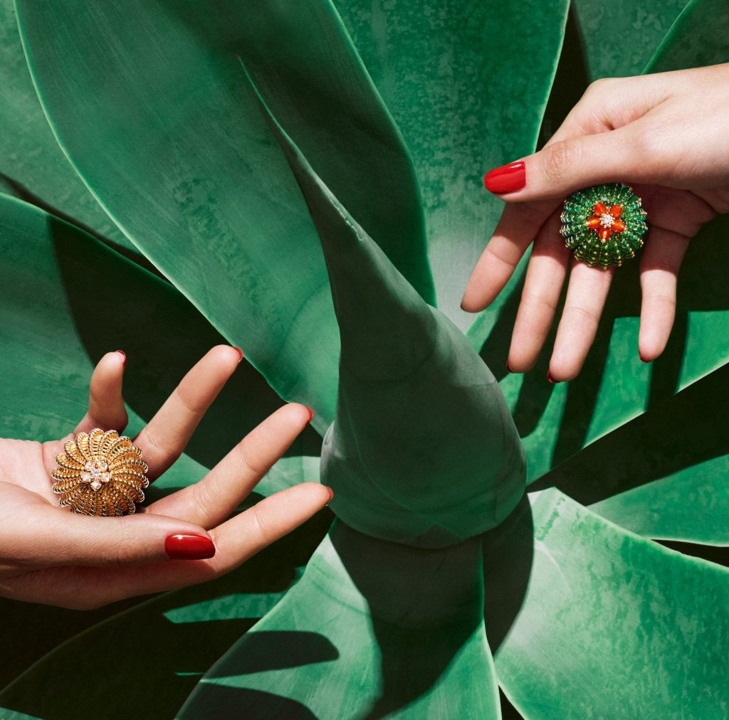 Cool down with the Cactus de Cartier collection