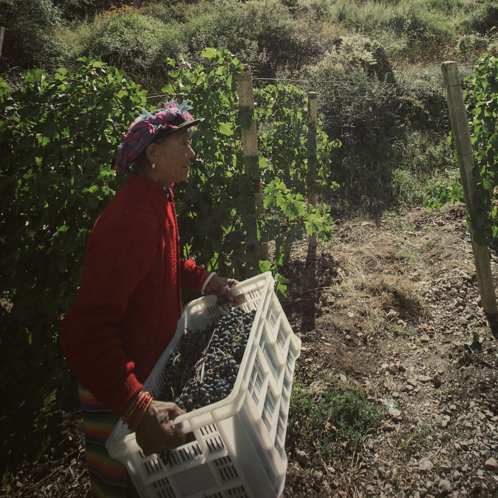 Here’s why you should pay $405 for a bottle of made-in-China wine