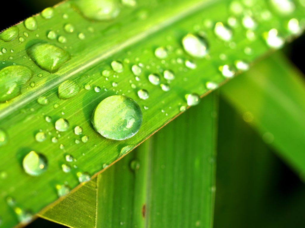 5 beauty products to help you combat Hong Kong’s humidity