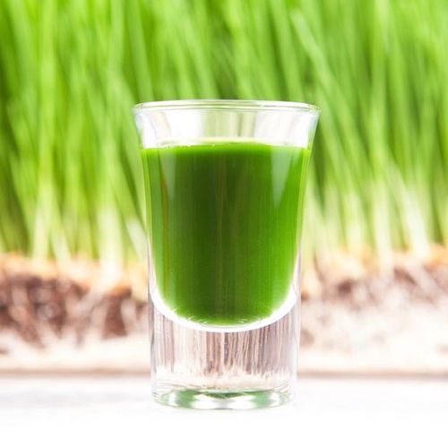 Green envy 5 superfood benefits from wheatgrass Lifestyle Asia Singapore