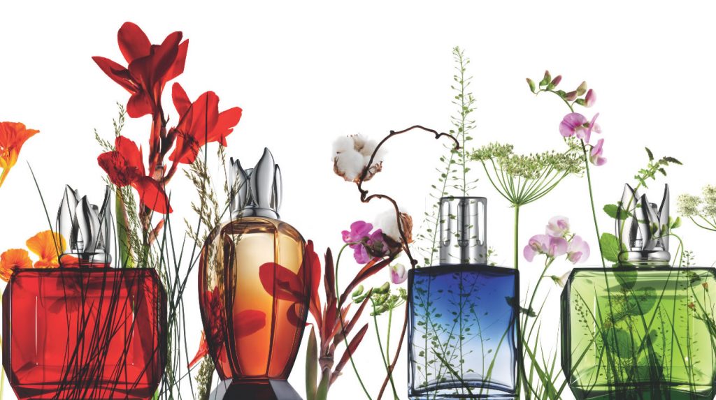 5 signature scents we love from Lampe Berger Paris