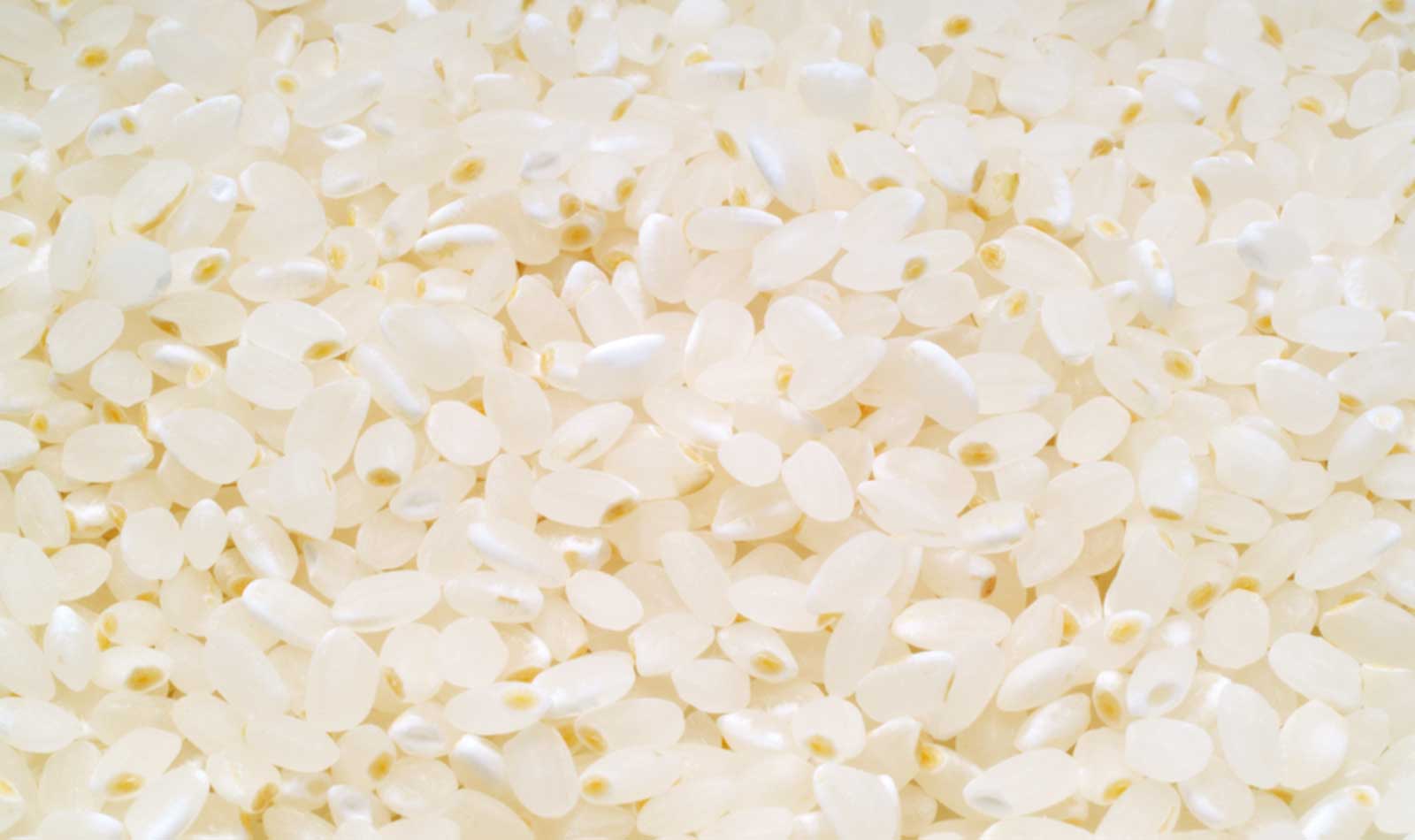 Splurge: Kinmemai Premium is the world’s most expensive rice at S$148 per kilo