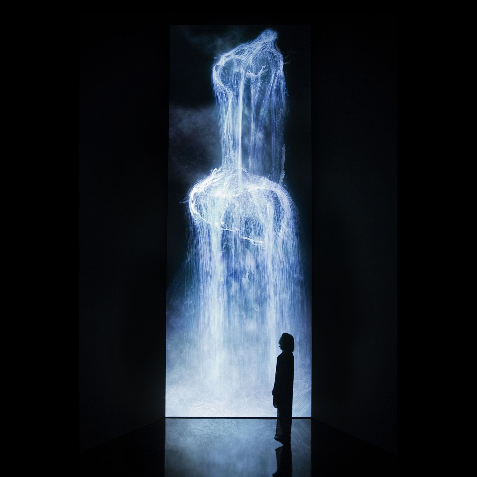 teamLab, ‘Universe of Water Particles,’ (2013)