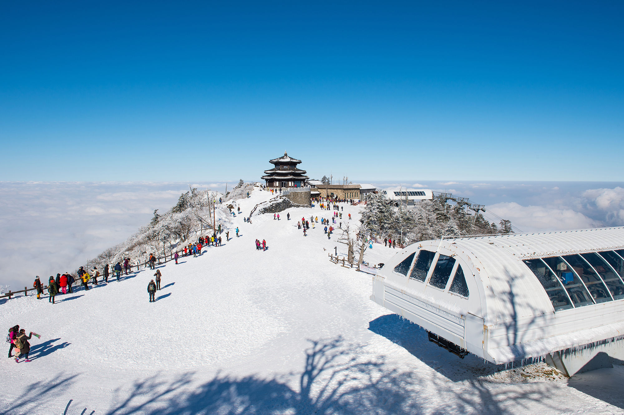Enjoy a snowy adventure at these 7 ski resorts in South Korea ...