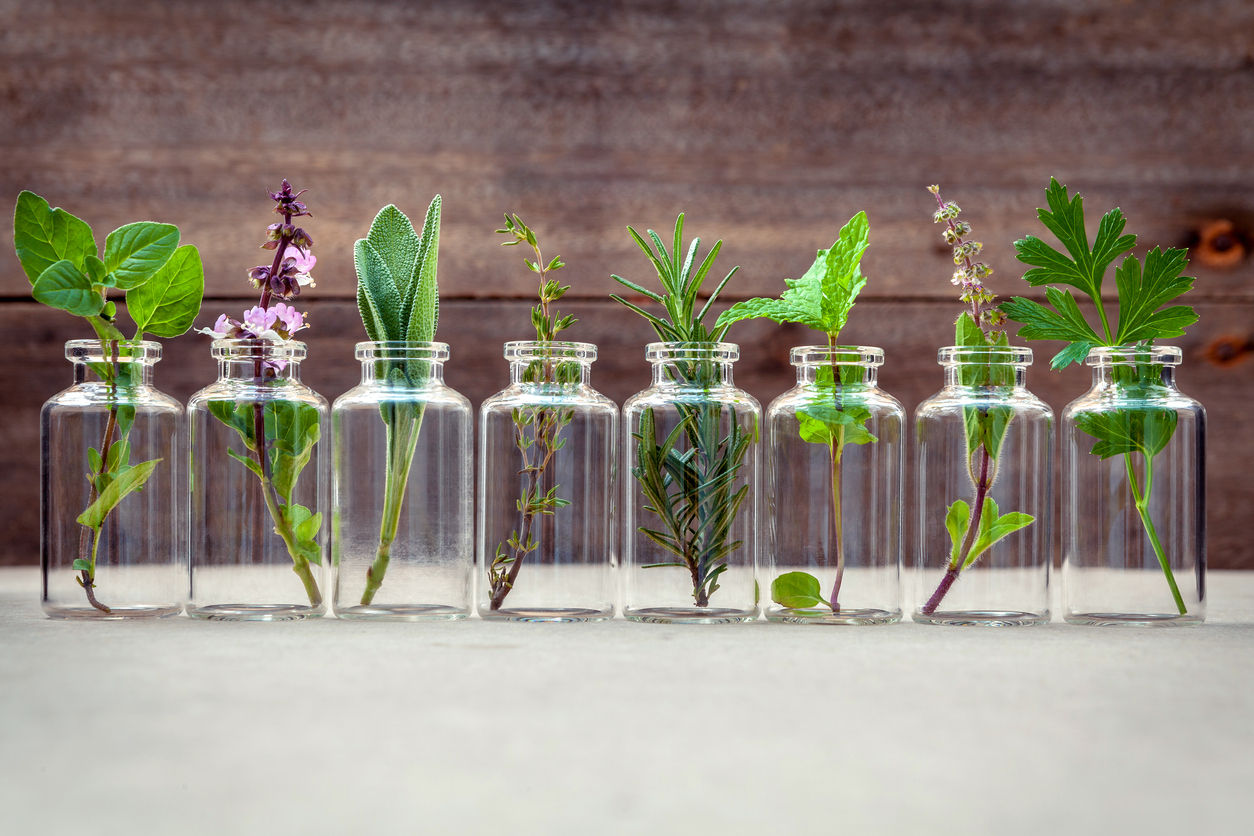 The beginner’s guide to essential oils