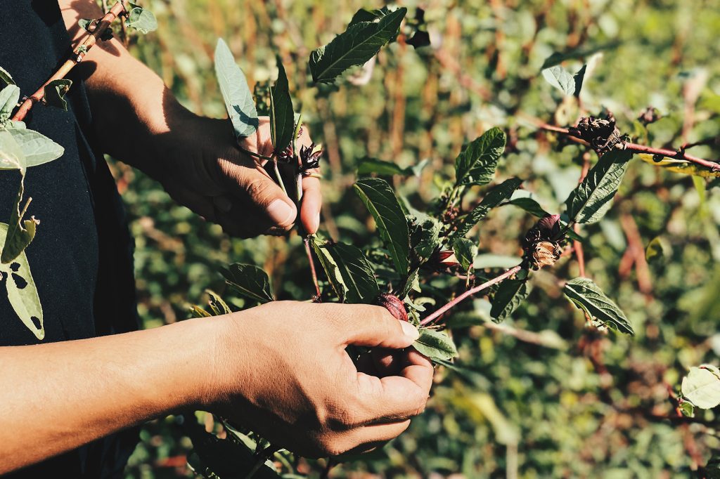 This week’s best stories: Earth Day edition