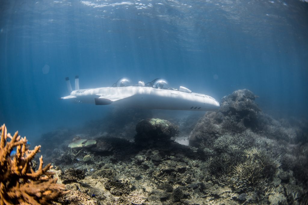 Take an underwater tour of the Maldives in a submarine
