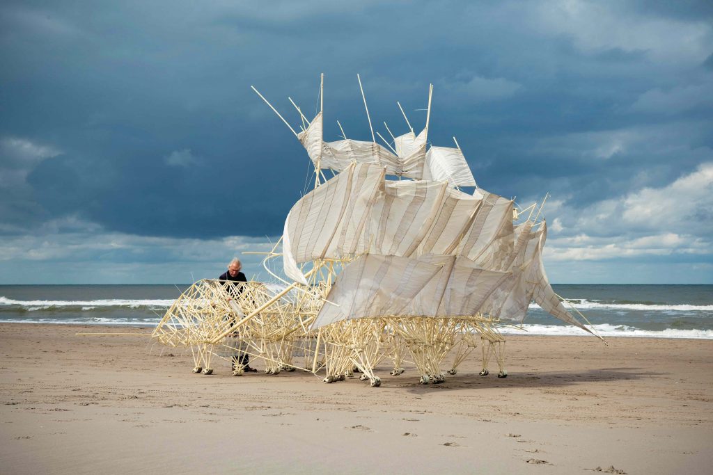 Dutch artist Theo Jansen on bringing skeletons to life