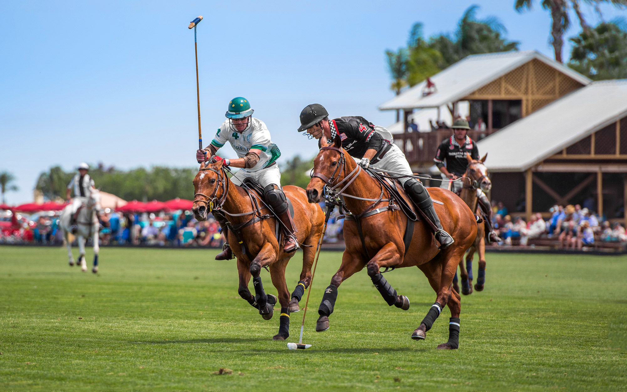 Why polo the sport of kings is no longer reserved for royalty