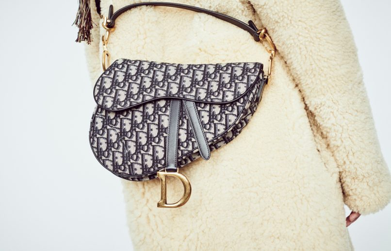 dior classic saddle bag