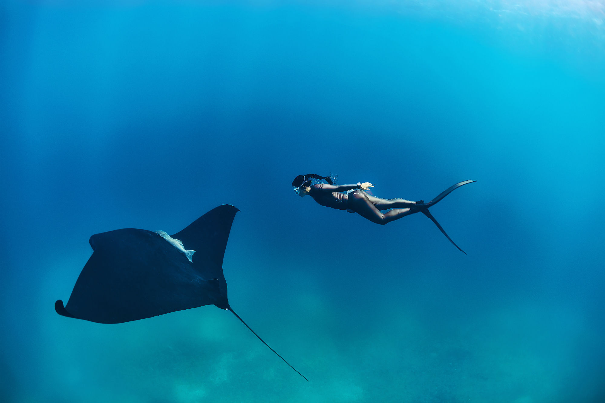 Free diver Hanli Prinsloo: “There are more plastics in the ocean than you think.”