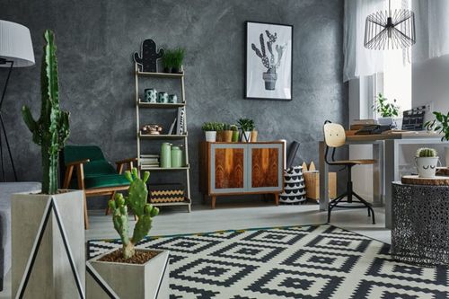 A guide to sprucing up your interiors with cacti and succulents