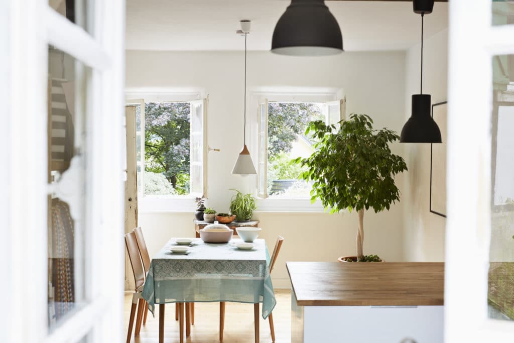 Air-purifying plants and the Pinterest-worthy ways to style them