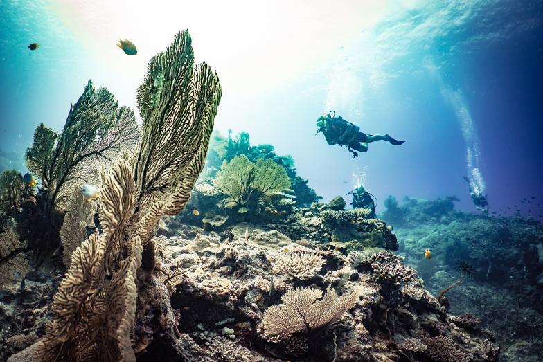 Check out: Fiji, an island paradise home to rich indigenous culture