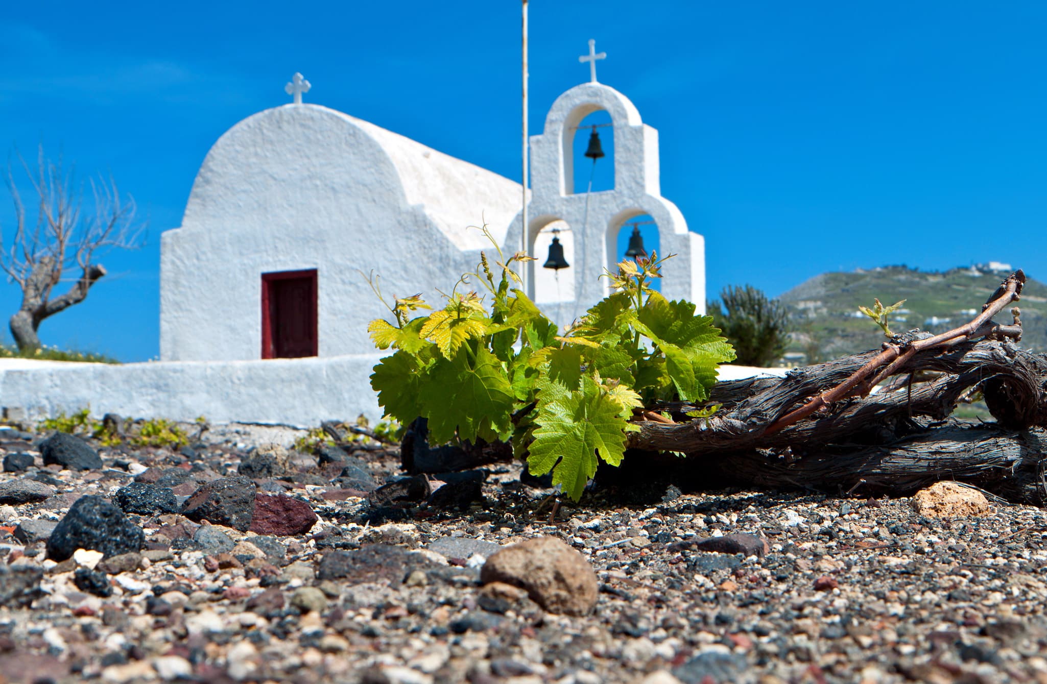 Greece, one of Europe’s oldest wine producers, is ripe for resurgence