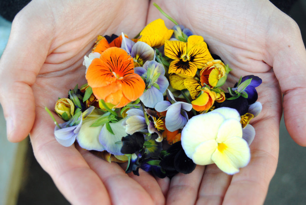 Chefs explain: Why Malaysia’s chefs are using local flowers now more than ever