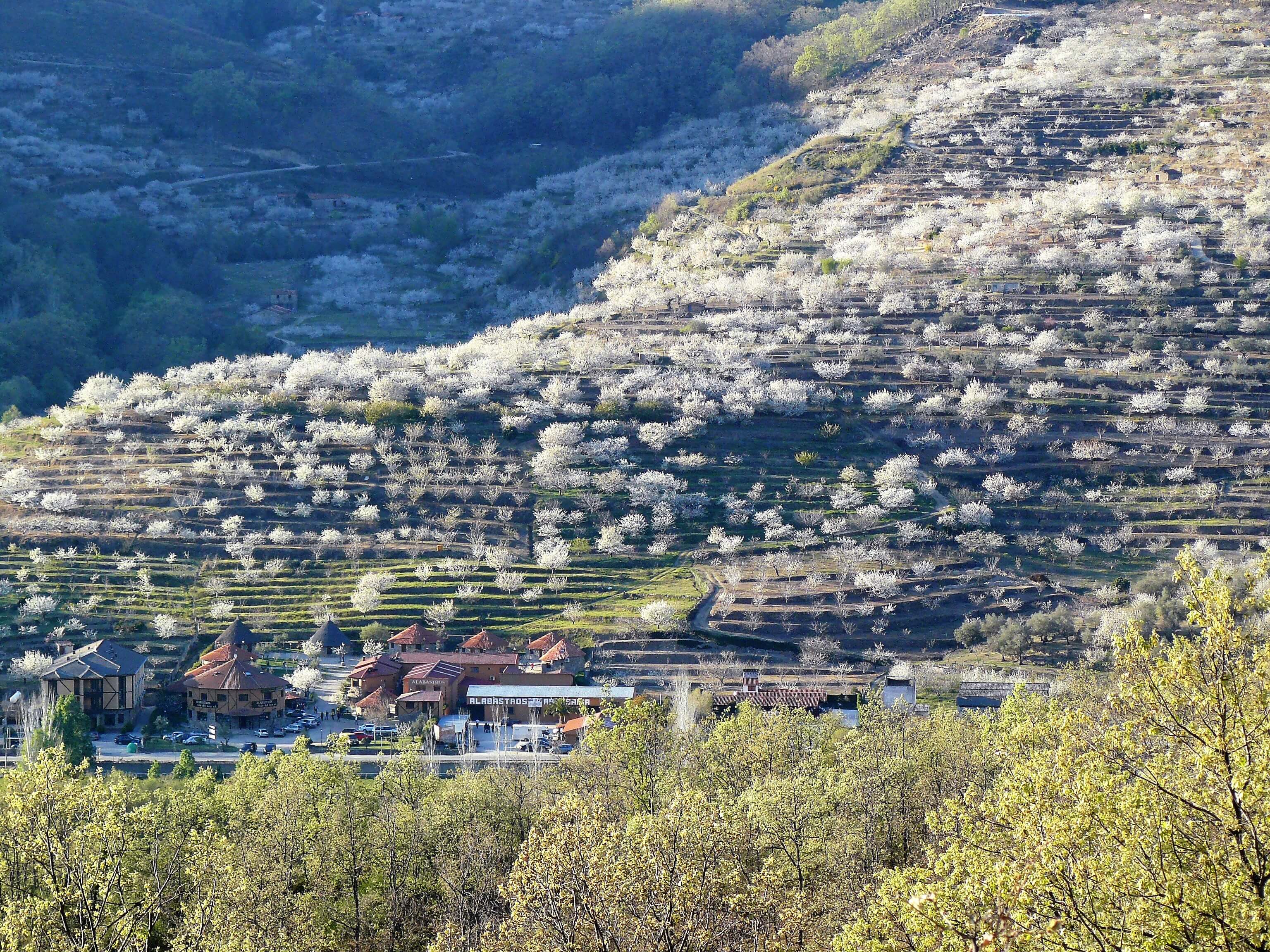 Jerte Valley, Spain