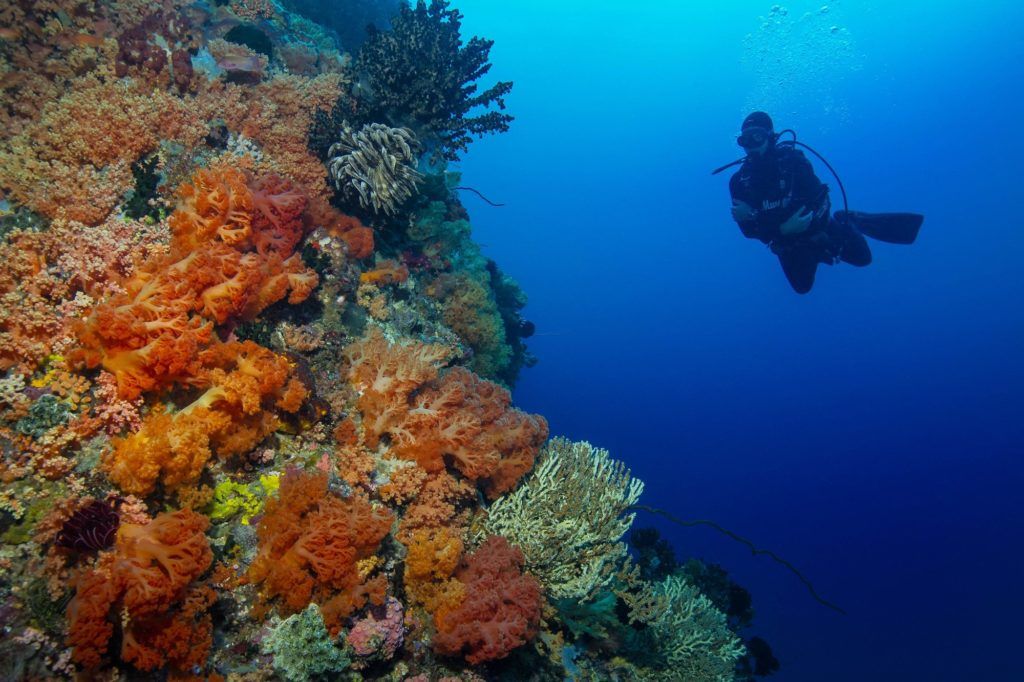 5 diving spots around Singapore