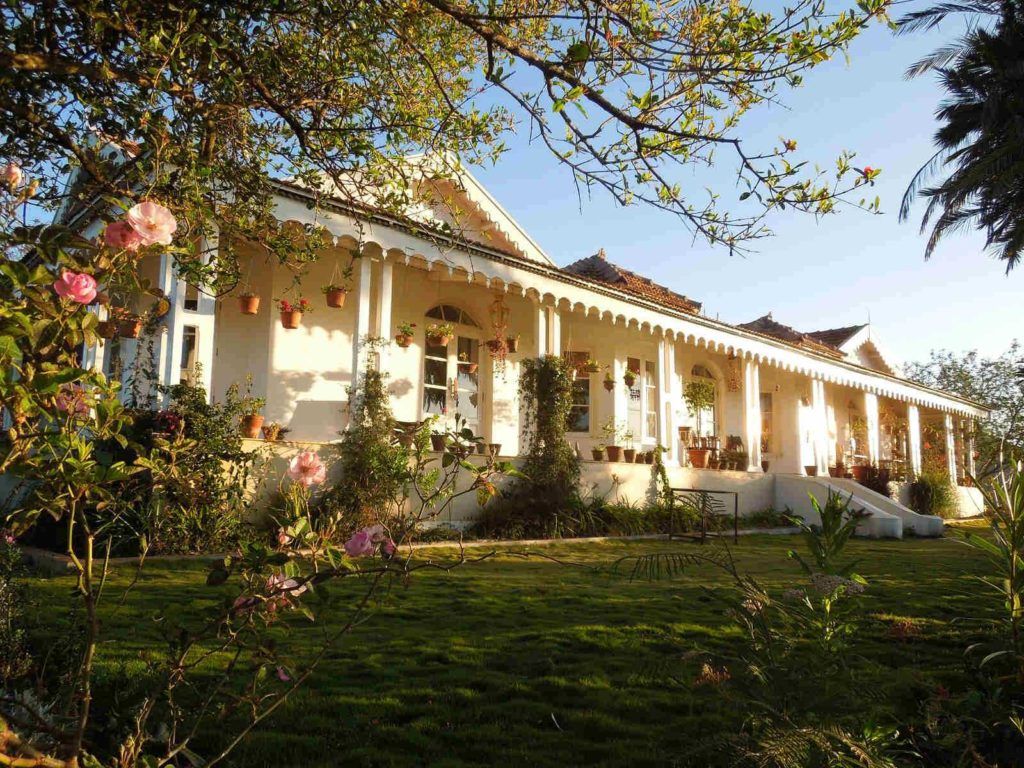 Hidden gems in South India: The best plantation holidays to book right away