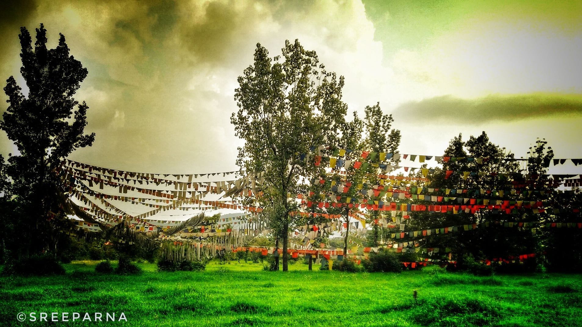 Why you should head to the Himalayan village of Bir this summer