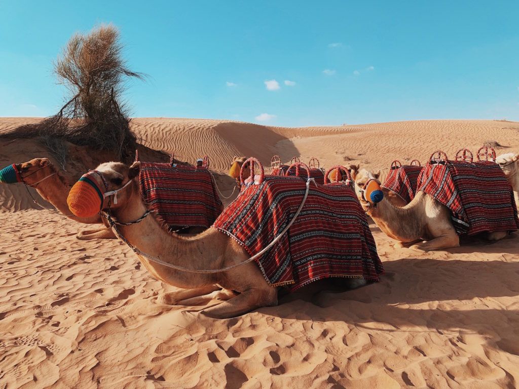 How to spend 48 hours in Dubai’s Arabian Desert