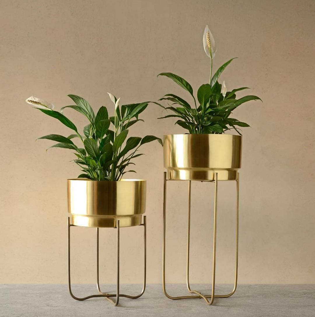 The 9 best decor websites in India to give your home a makeover