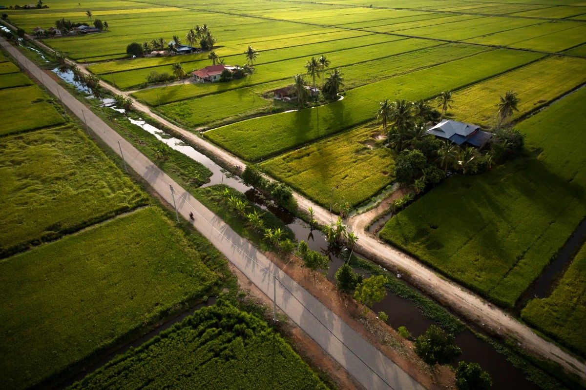 Check out: The idyllic land of paddy fields and fresh seafood, Sekinchan