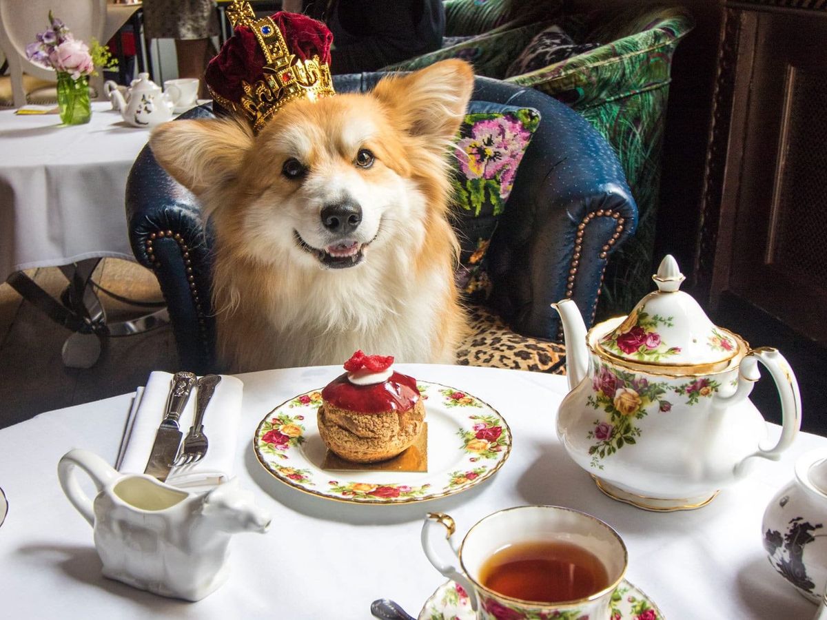 10 Etiquette Rules for Afternoon Tea - How to Properly Have Tea