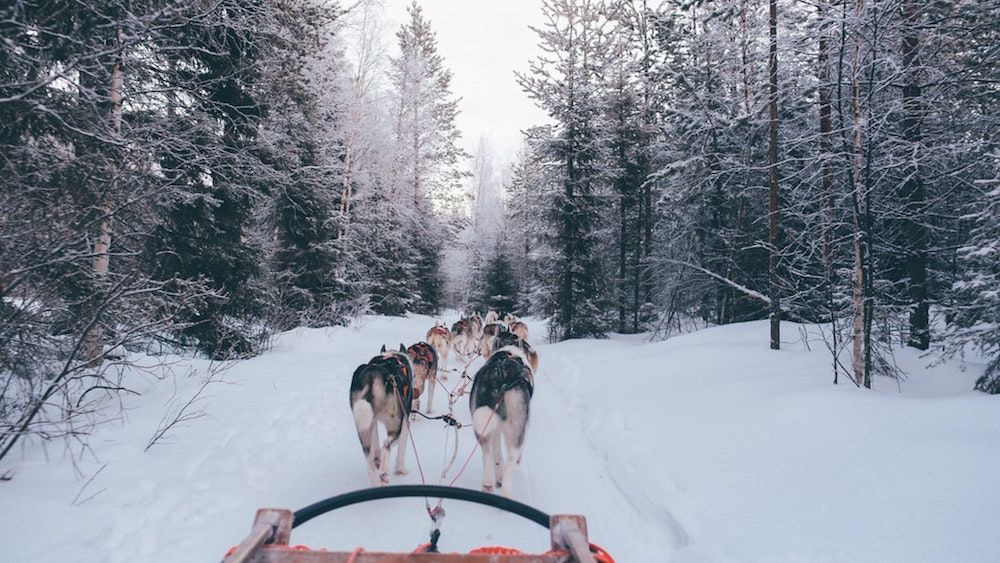 Guide to Lapland: What to do in northern Finland’s enchanted winterscape