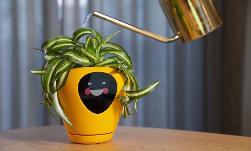 Gardening woes? This smart pot helps your plant express its ‘feelings’