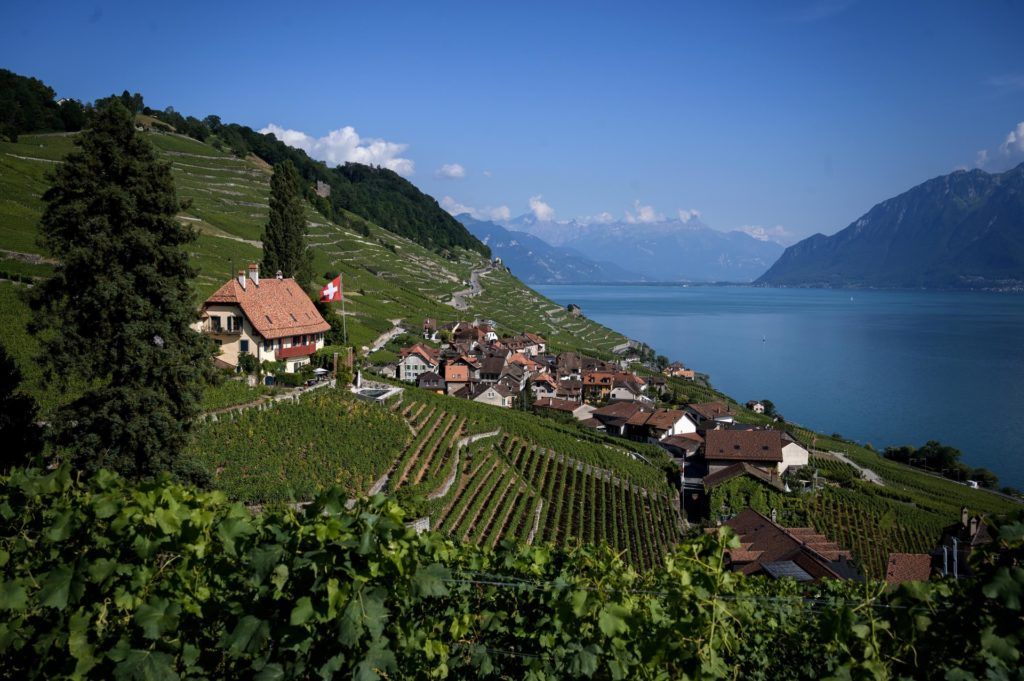 Swiss wine labels could soon wind its way to your dining table