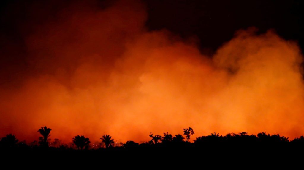 LVMH pledges $10M to try and save the Amazon rainforest