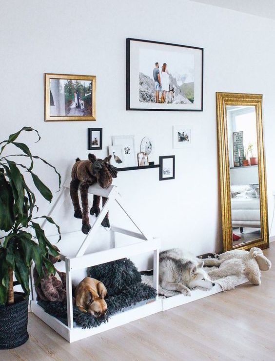 #Homeinspo: pet nooks for your four-legged friends