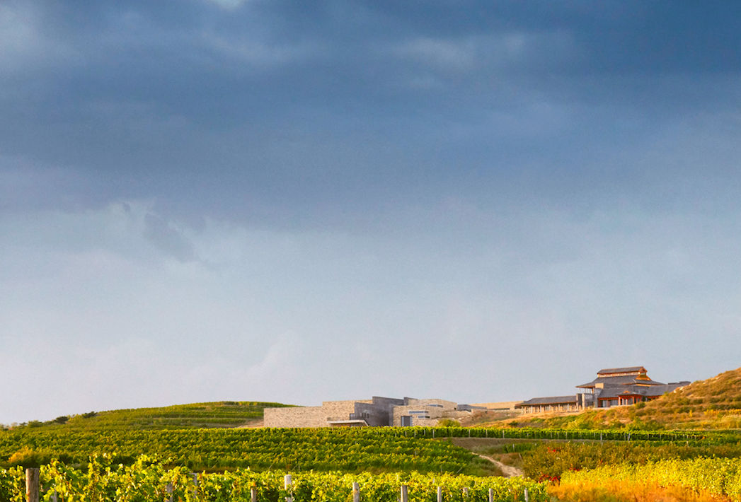 Chateau Lafite has opened its first China-based winery in Shandong