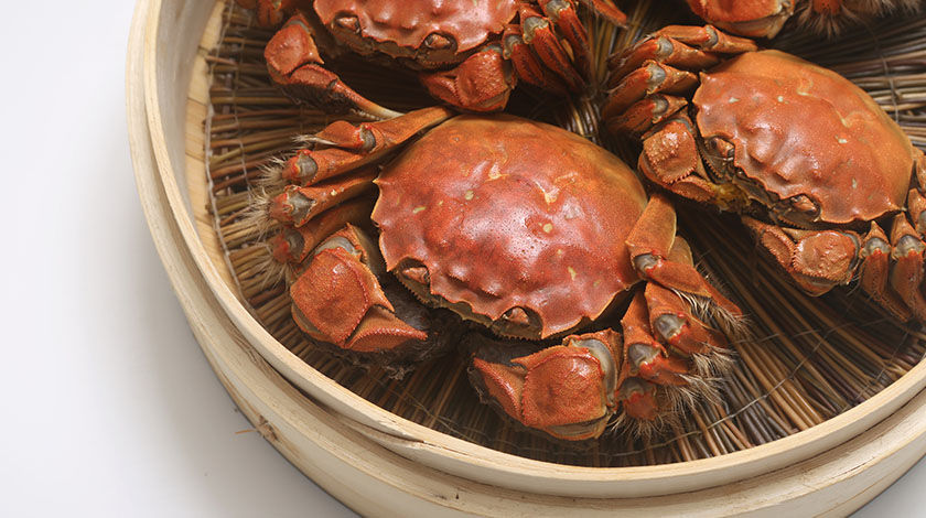 Chefs explain: What drives China’s love for hairy crabs?