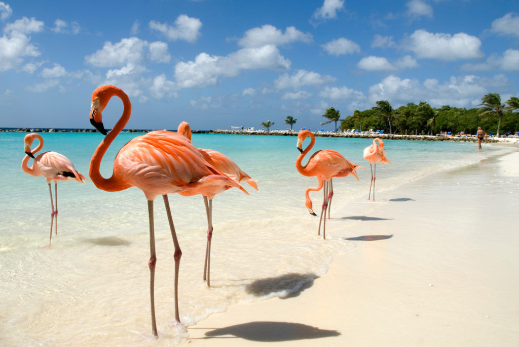 6 picturesque Caribbean islands to plan your next long holiday