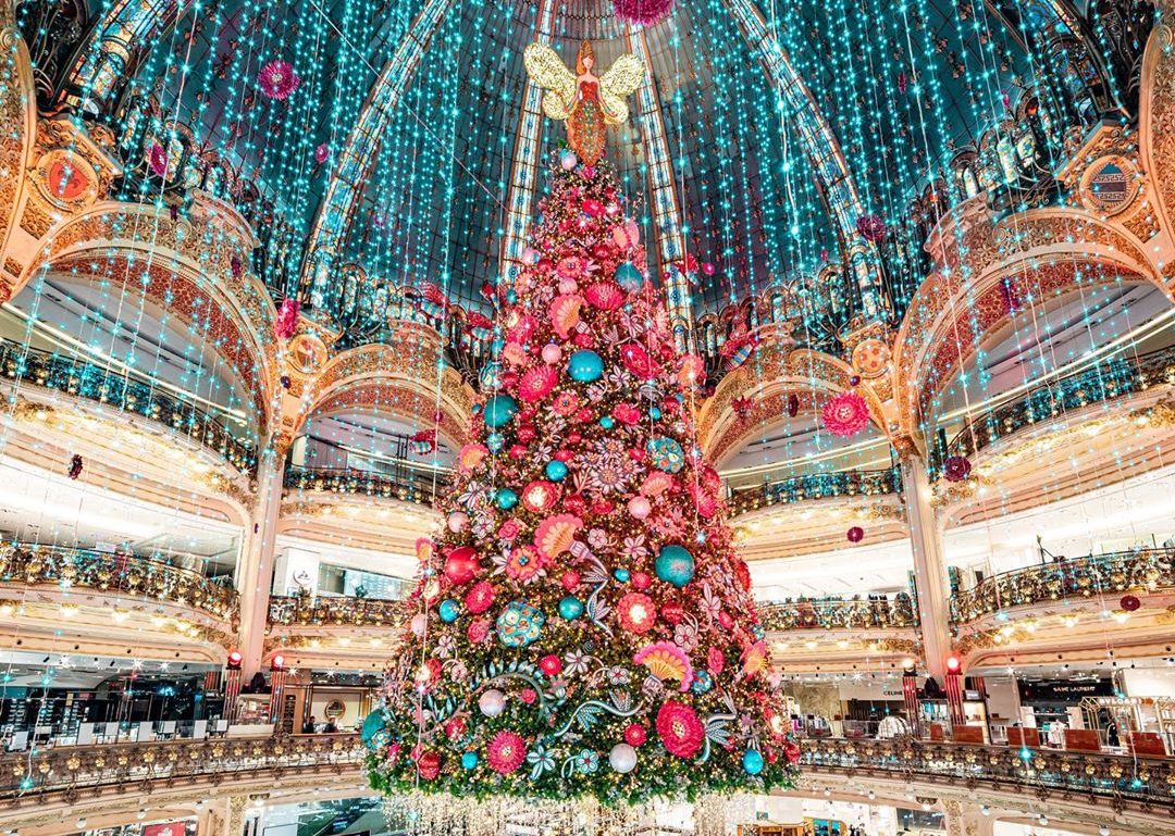 beautiful christmas trees images