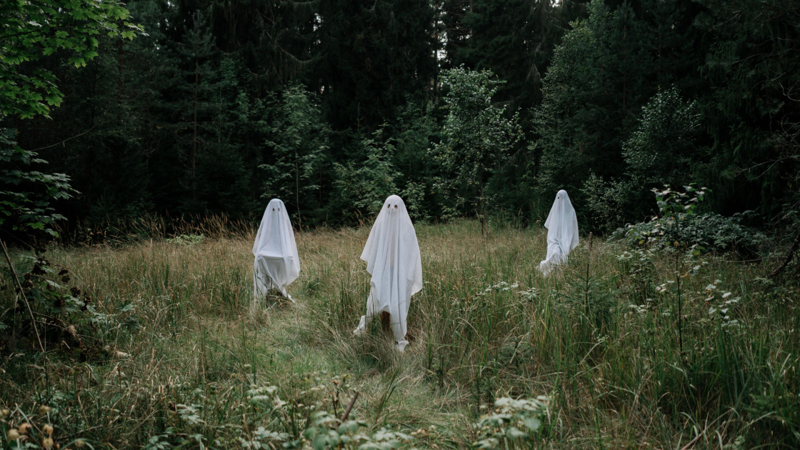 Cerita hantu best boleh buat anda tidak tidur malam