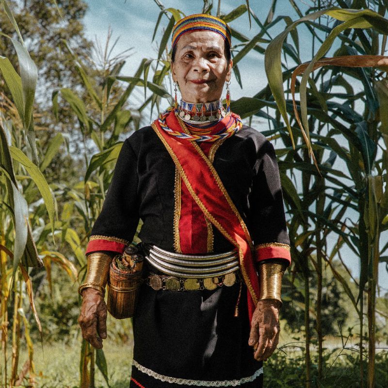 Legasi Borneo : Mendekati Wanita Gelang Terakhir, kesuma yang menjadi kebanggaan tradisi Sarawak