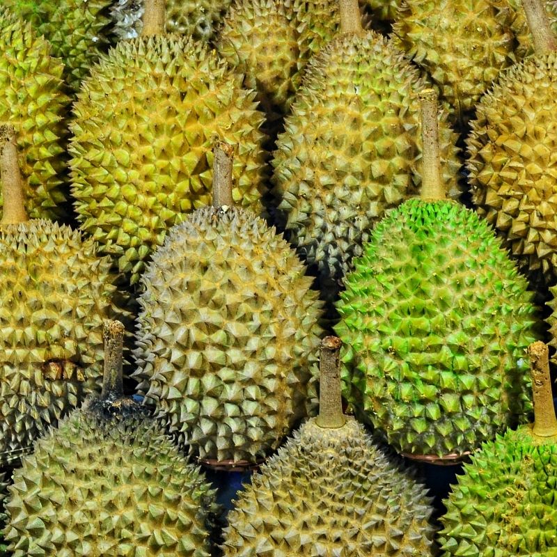 Khasiat durian yang ramai tidak tahu, nombor 3 yang paling tidak disangka