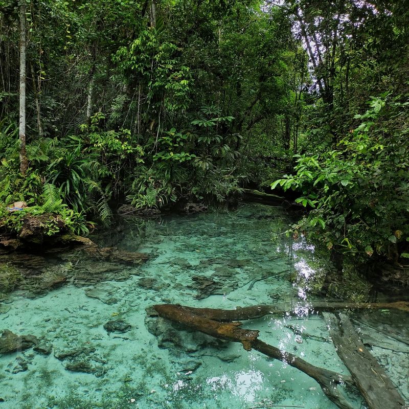 Tempat mandi sungai di Selangor yang selamat dan menyeronokkan untuk kanak-kanak