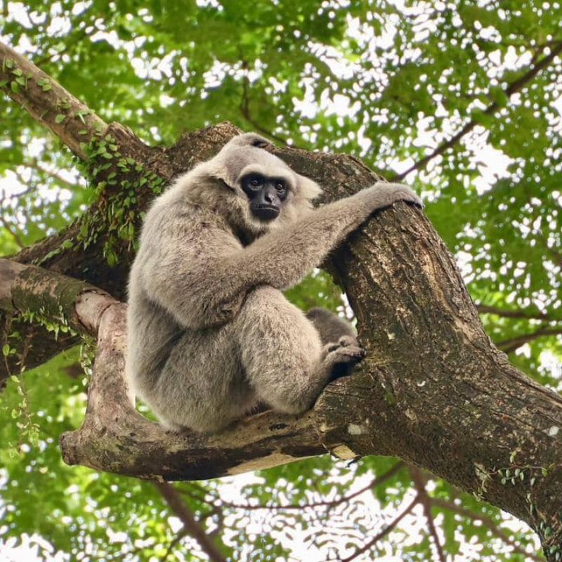 Kembali meriah! Zoo Johor akan dibuka semula pada 31 Ogos 2024