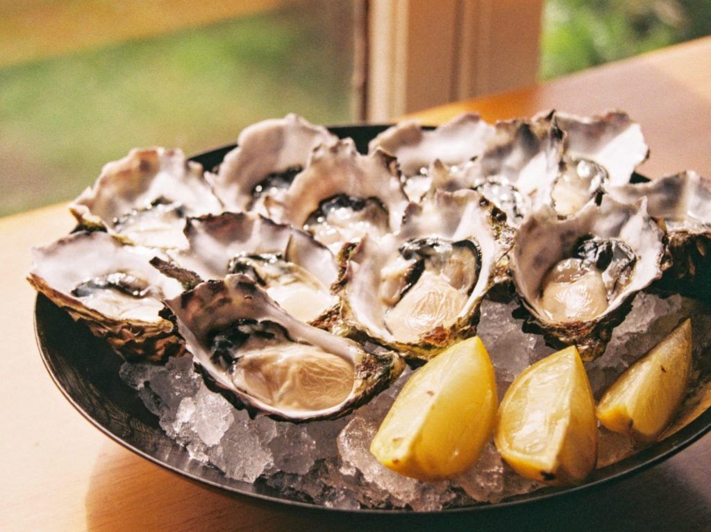 boost immune system - oysters