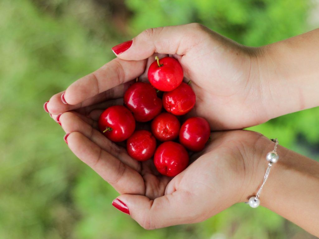 boost immune system - acerola