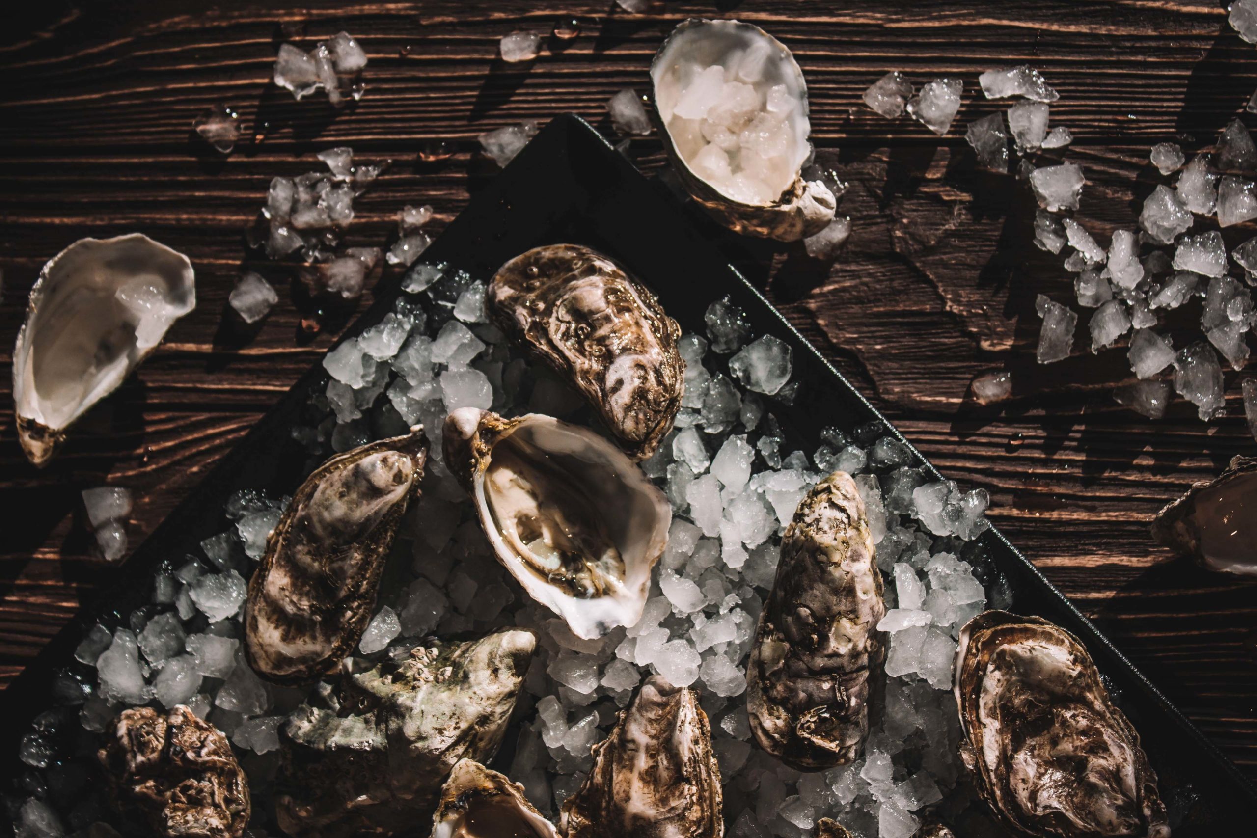 Appreciating oysters a beginners guide