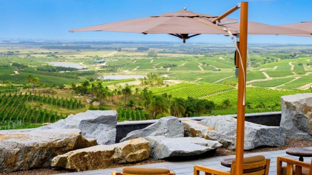 How South America is setting new standards for wine tourism