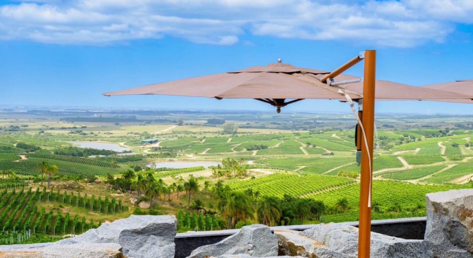 How South America is setting new standards for wine tourism