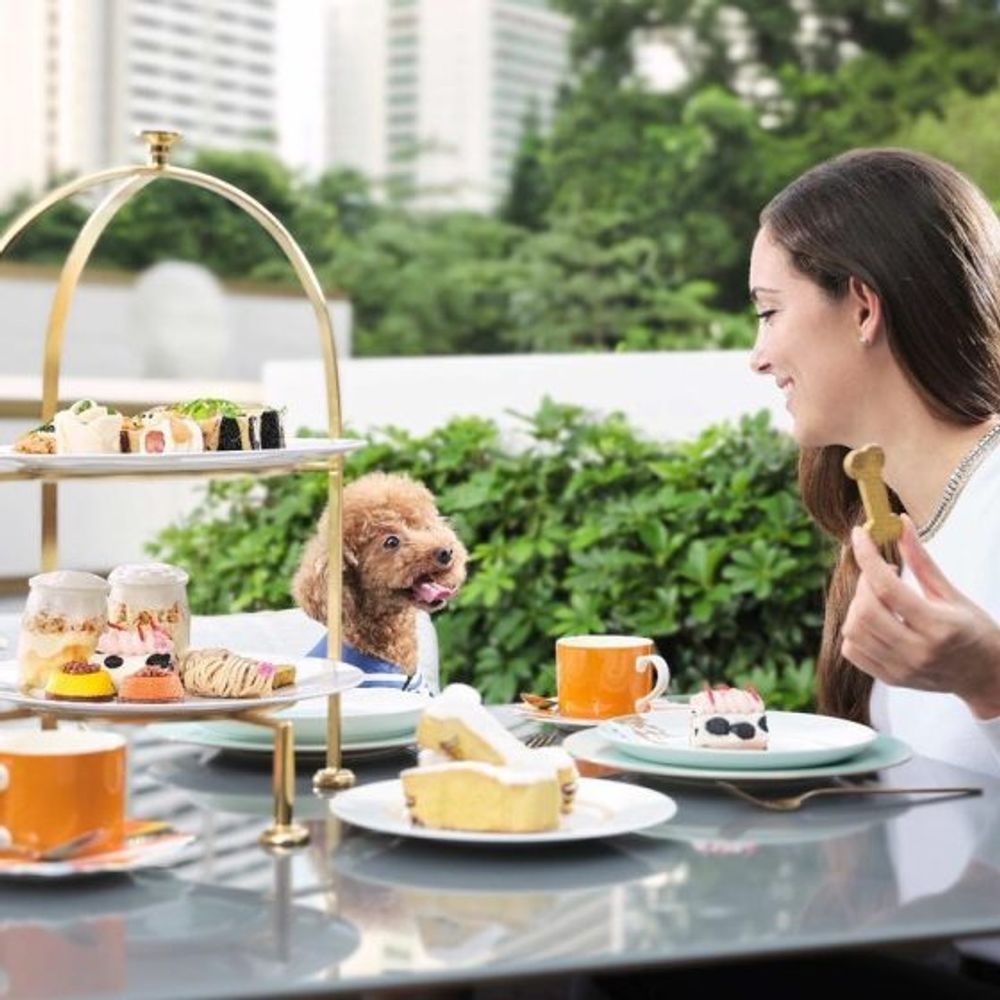 Petfriendly restaurants 10 best places to eat in Hong Kong